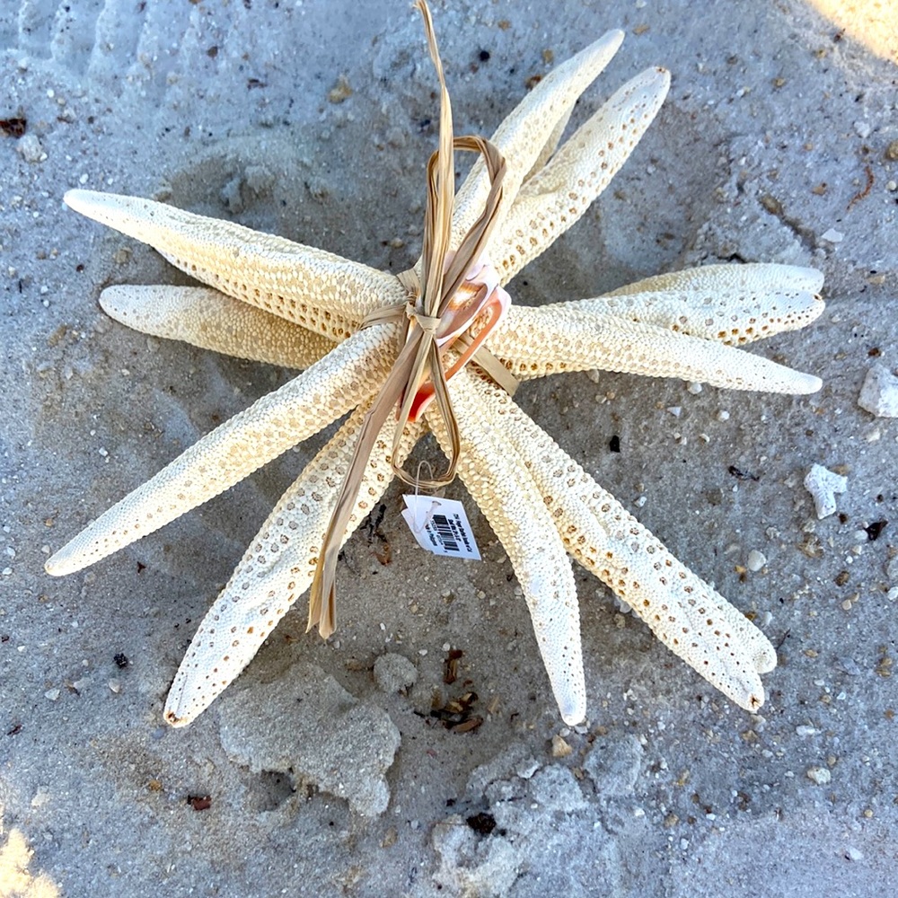 STARFISH set of 3 , GREAT DECOR , looks good ANYWHERE!!🌴🦀🦑